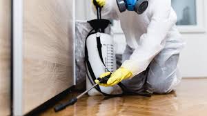 Best Fumigation Services  in Kincaid, IL